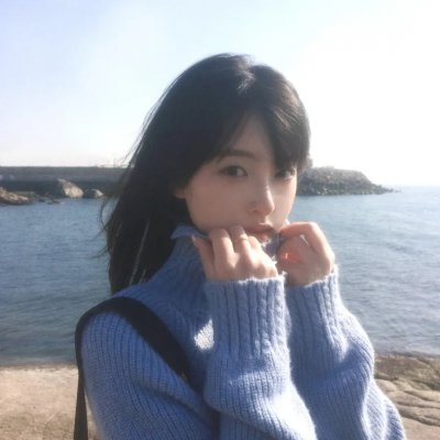 盗贼泰瑞莎
